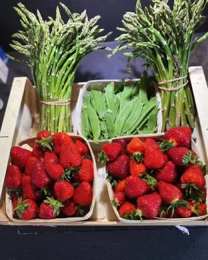 Offrez-vous une parenthèse en Provence dans un gîte de caractère, Les Dentelles de Montmirail, Le Mas de Lencieu