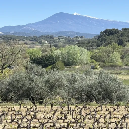 Les Ponts de Mai : une parenthèse à saisir !, Les Dentelles de Montmirail, Le Mas de Lencieu