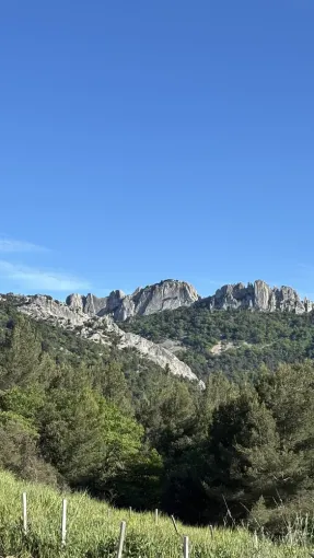 Découvrez les Dentelles de Montmirail, Les Dentelles de Montmirail, Le Mas de Lencieu