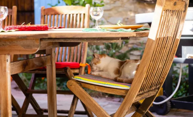 L’Escalouri, Dentelles, Le Mas de Lencieu