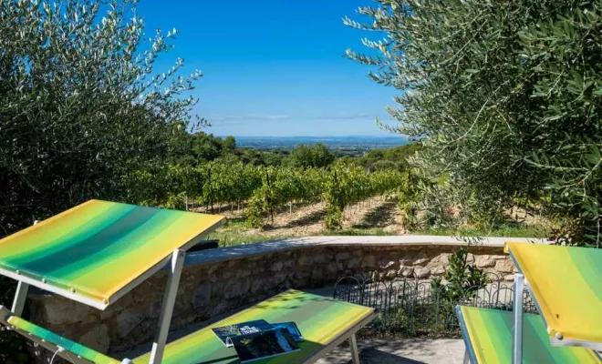  L’Olivier, Dentelles, Le Mas de Lencieu