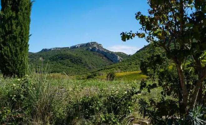Les activités autour des gîtes, Dentelles, Le Mas de Lencieu