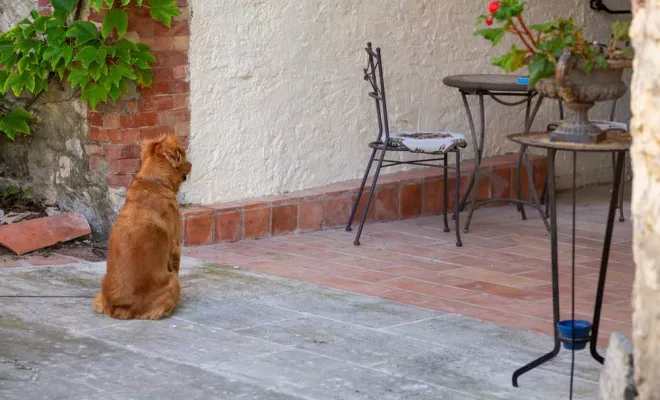 Nos stages, Dentelles, Le Mas de Lencieu