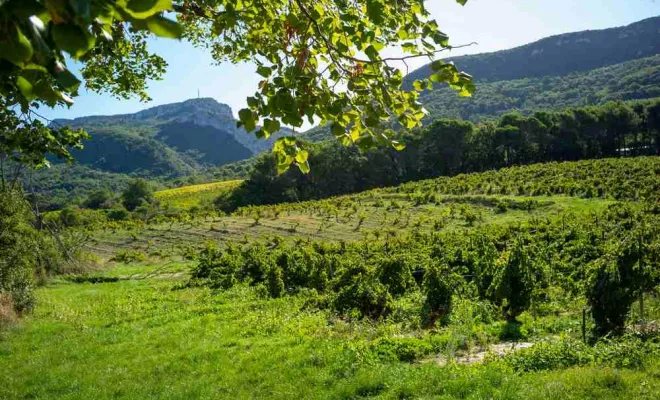Les activités autour des gîtes, Dentelles, Le Mas de Lencieu