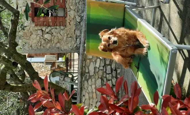 Prochain stage au Mas de Lencieu: du 26 au 29 mars 2026, Les Dentelles de Montmirail, Le Mas de Lencieu