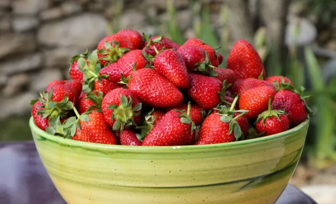 Mars, le printemps s'invite dans les Dentelles de Montmirail en Provence, Les Dentelles de Montmirail, Le Mas de Lencieu