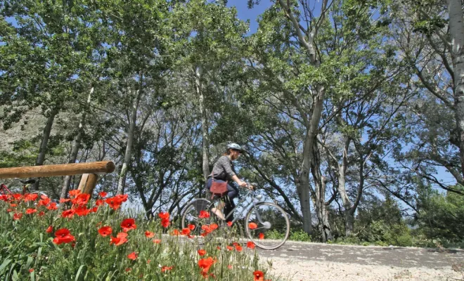 Mars, le printemps s'invite dans les Dentelles de Montmirail en Provence, Les Dentelles de Montmirail, Le Mas de Lencieu