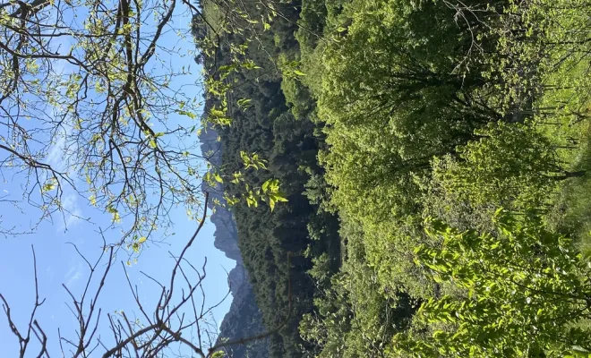 Ici, au Mas de Lencieu, en Provence, on vient pour ralentir, se poser, se ressourcer, Les Dentelles de Montmirail, Le Mas de Lencieu
