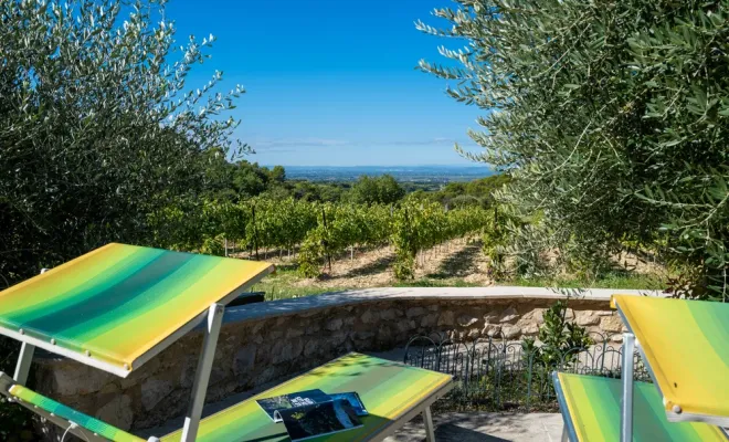 Ici, au Mas de Lencieu, en Provence, on vient pour ralentir, se poser, se ressourcer, Les Dentelles de Montmirail, Le Mas de Lencieu