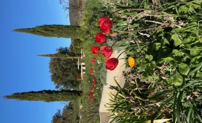 Offrez-vous une parenthèse en Provence dans un gîte de caractère, Les Dentelles de Montmirail, Le Mas de Lencieu