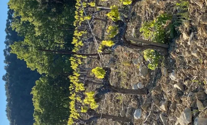 Offrez-vous une parenthèse en Provence dans un gîte de caractère, Les Dentelles de Montmirail, Le Mas de Lencieu