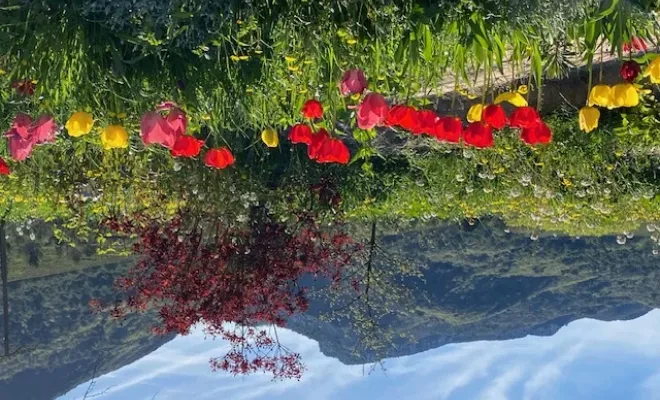 Offrez-vous une parenthèse en Provence dans un gîte de caractère, Les Dentelles de Montmirail, Le Mas de Lencieu