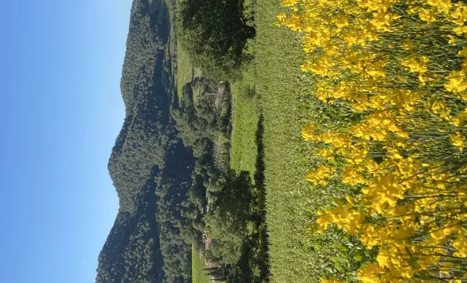 Découvrez les Dentelles de Montmirail, Les Dentelles de Montmirail, Le Mas de Lencieu