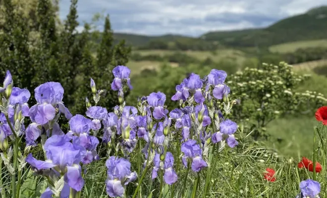 Découvrez les Dentelles de Montmirail, Les Dentelles de Montmirail, Le Mas de Lencieu
