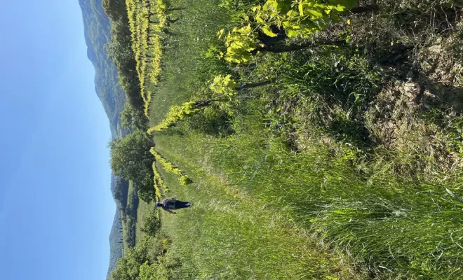 Découvrez les Dentelles de Montmirail, Les Dentelles de Montmirail, Le Mas de Lencieu