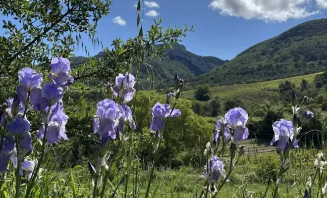Prochain séjour PMR: accueil d'un groupe d'habitants suisses, Les Dentelles de Montmirail, Le Mas de Lencieu