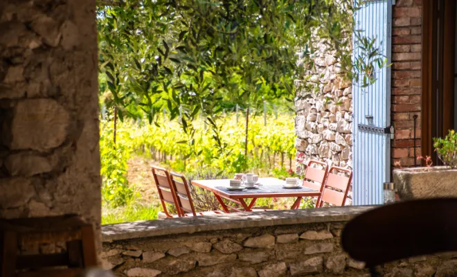 terrasse sous l'olivier