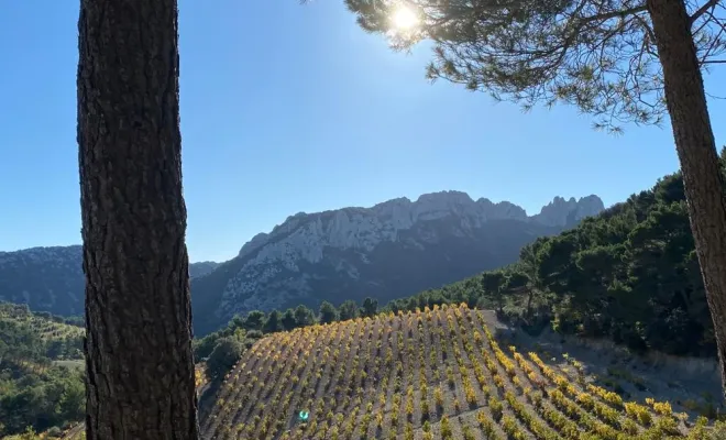 Venez savourer l'automne provençal au Mas de Lencieu, gîtes de caractères, Les Dentelles de Montmirail, Le Mas de Lencieu