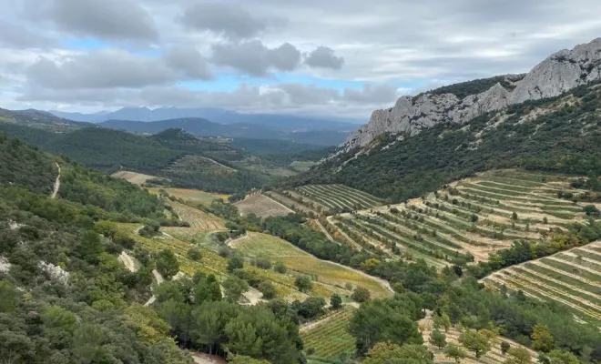 Venez savourer l'automne provençal au Mas de Lencieu, gîtes de caractères, Les Dentelles de Montmirail, Le Mas de Lencieu